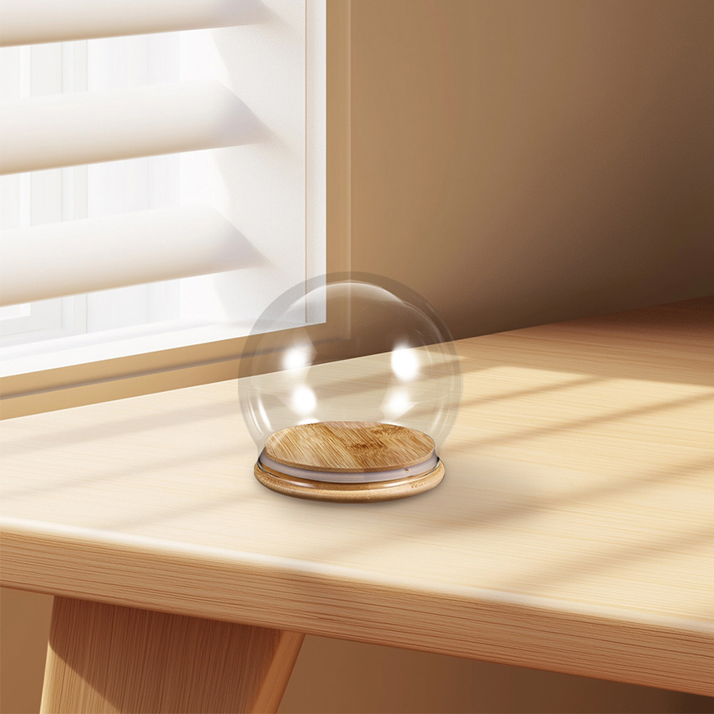 2Pcs Clear Glass Dome Display  - đánh giá và giá Plastic Dome Clear