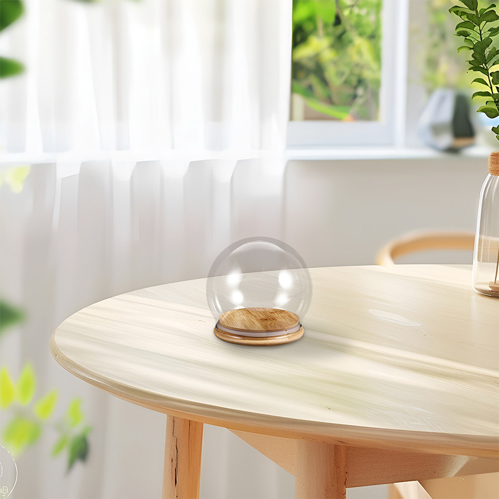 2Pcs Clear Glass Dome Display  - đánh giá và giá Plastic Dome Clear