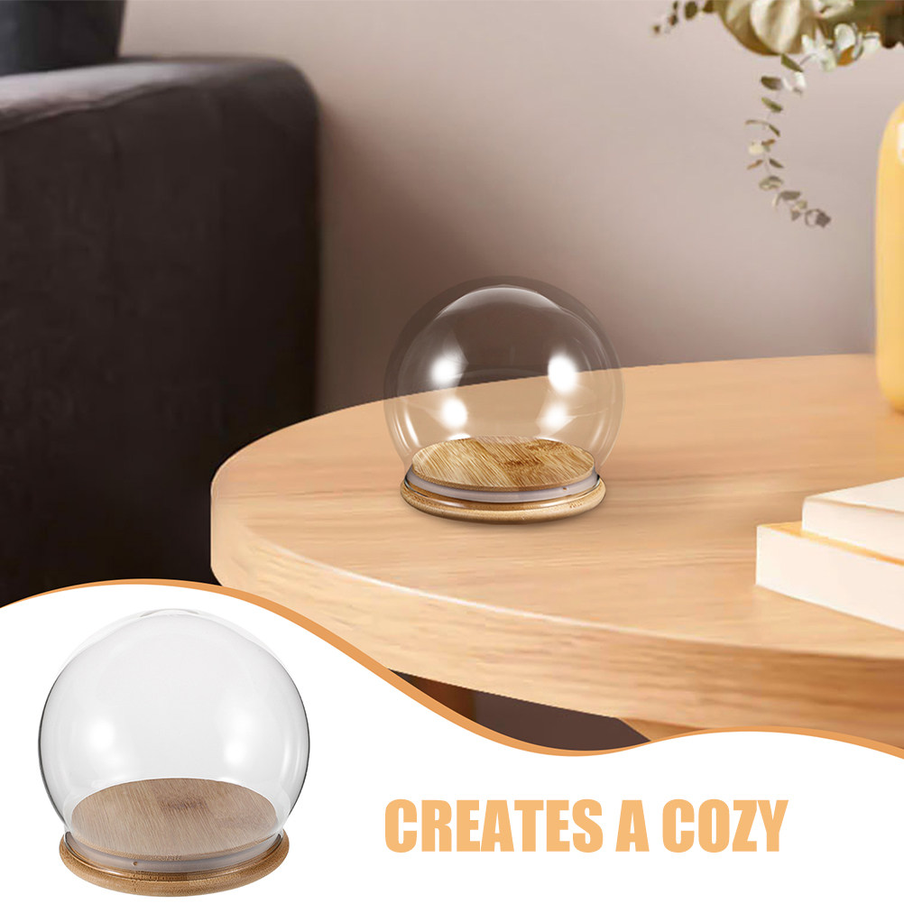 2Pcs Clear Glass Dome Display  - đánh giá và giá Plastic Dome Clear