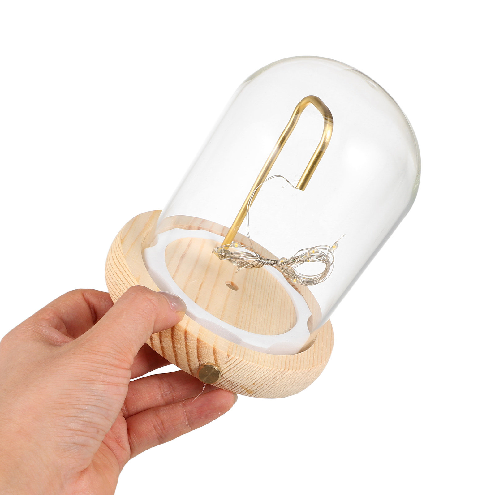 Glass Display Dome Wood Base L - đánh giá và giá Plastic Dome Clear