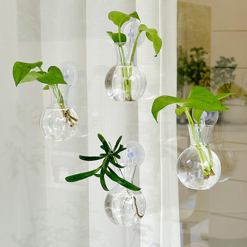 1/2/3/4/6/8Pcs Plant Propagati - đánh giá và giá Propagation Station Vase
