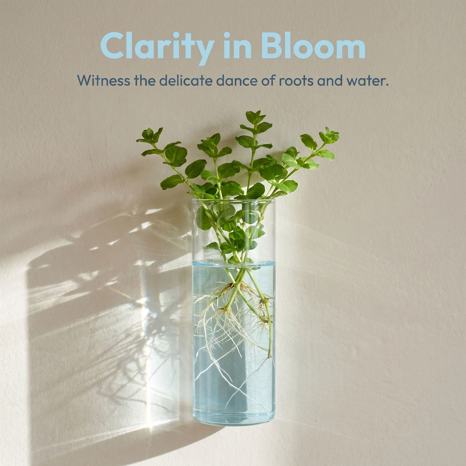 5Pcs Cylinder Glass Wall Vase  - đánh giá và giá Propagation Station Vase